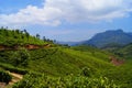 Munnar Kerala